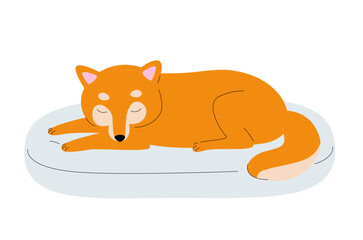 Sleeping shiba Inu dog isolated on white background. Japanese dogs breed. Happy dog illustration. Simple flat vector design for print.