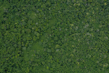 Beautiful aerial top view of green forest in rural Thailand.