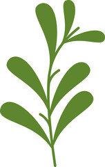 Mistletoe Branch Graphic Illustration