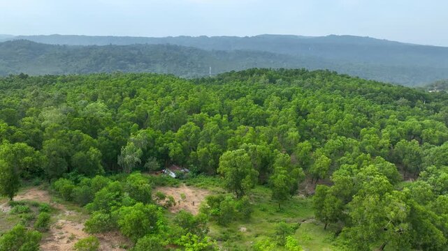 Captivating Drone Shot of Hill Background Dense Green Foliage at Jaflong Sylhet