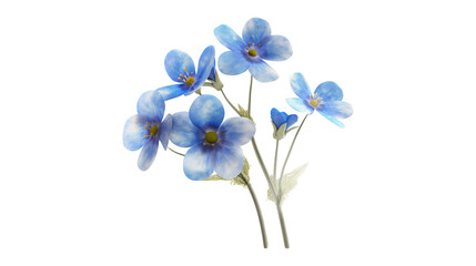 A bouquet of blue flowers is displayed on a white background