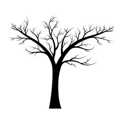 Silhouette of a tree with bare branches