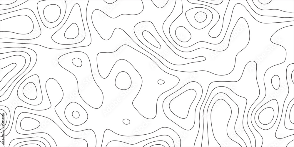 Poster abstract black & white wave paper curved reliefs background. topographic map lines, contour backgrou
