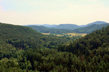 Obraz premium Aussicht in den Pfälzerwald von den Altdahner Burgen bei Dahn im deutschen Landkreis Südwestpfalz im Bundesland Rheinland-Pfalz. Aussicht vom Premium-Wanderweg Hahnfels-Tour.