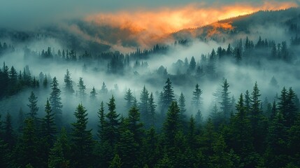Obraz premium Stunning photograph of a forest at dusk with a mix of fog and smoke from wildfires, capturing the beauty and fragility of nature amidst increasing climate challenges. high resolution Illustration, in