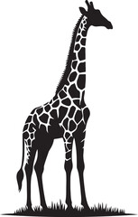 Obraz premium giraffe vector art,graphics giraffes icons set,vintage illustration giraffe clipart,vector giraffes flat style artwork design