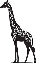 Obraz premium giraffe vector art,graphics giraffes icons set,vintage illustration giraffe clipart,vector giraffes flat style artwork design