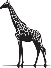 Fototapeta premium giraffe vector art,graphics giraffes icons set,vintage illustration giraffe clipart,vector giraffes flat style artwork design