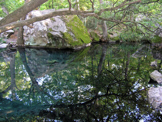Lake in the old park in Alupka