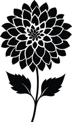 Black and white dahlia silhouette