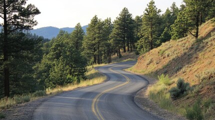 Fototapeta premium Ascending Pine-Covered Hill: Journey through Nature's Majesty