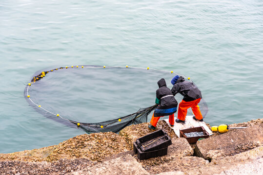 Two fishermen hauling in their nets from a jetty. Fishing for Odontesthes incisa (Cornalitos)