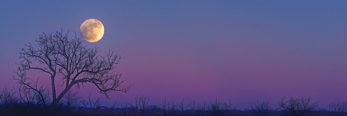 Nearly Full Moon in the Dusk Sky