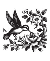 Obraz premium A bird in flight eating honey from a flower vector style, black and white color