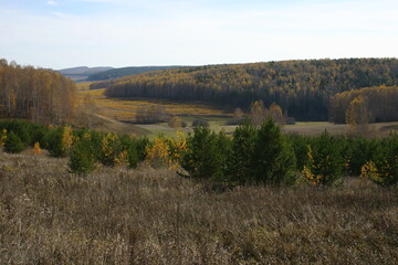 autumn landscape. field and forest against the sky