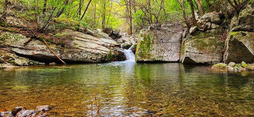 A delightful waterfall in the mountains - in the foreground a rhododendron blooms.