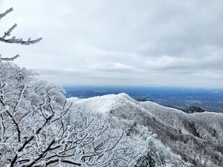 Winter in Chiaksan National Park, South Korea. Frost completely covers the trees. The trees are...