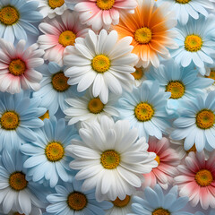 Fototapeta premium Abstract pattern background with colorful daisy flowers 