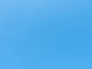 Poplar fluff flying in multiple white dots high up in blue sky like snowflakes.