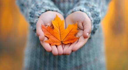 Person Holding Autumn Leaf During Daytime in Natural Setting