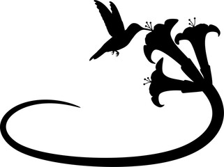hummingbird feeding on nectar illustration, hummingbird  silhouette vector