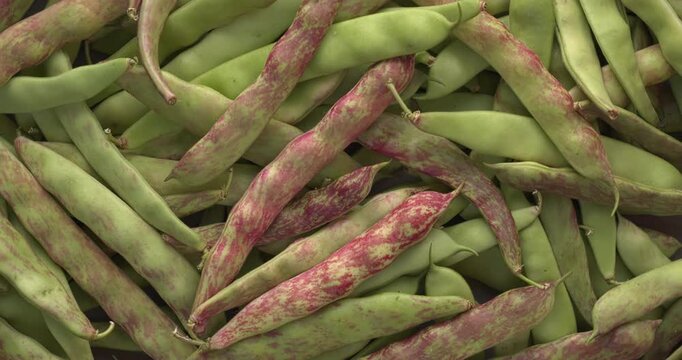 Freshly harvested runner beans from an organic garden. Table spin.