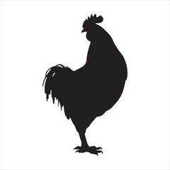 Rooster and chicken silhouette white background
