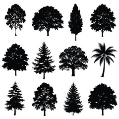 Fototapeta premium Detailed tree silhouettes set of various trees, vector illustration