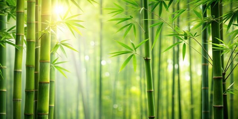 Green bamboo wallpaper with a serene nature background featuring a beautiful bamboo forest, green, bamboo, wallpaper