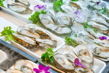 fresh raw oysters at grocery street market