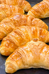 Freshly baked golden croissants arranged neatly on baking tray in bakery or cafe, ready to be served in morning. Warm lighting emphasizes croissants perfectly crisp layers. Vertical format