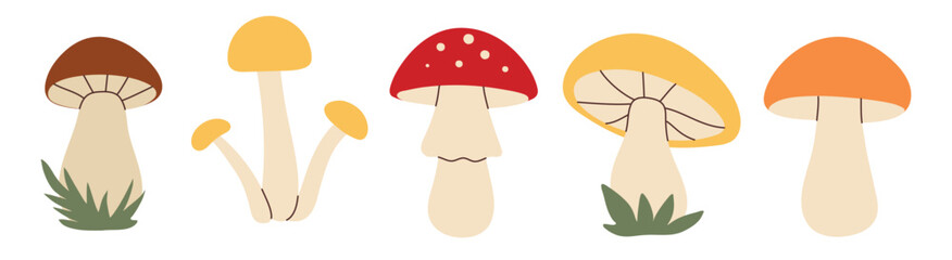 Simple flat style mushrooms set