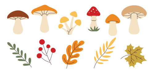 Simple flat style mushrooms and autumn leaves set. Hand drawn cute and cozy design elements. Fall, autumn season