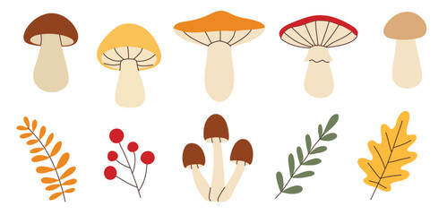 Simple flat style mushrooms and autumn leaves set. Hand drawn cute and cozy design elements. Fall, autumn season