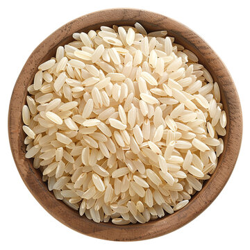 recommend clip art: Arborio rice clip art