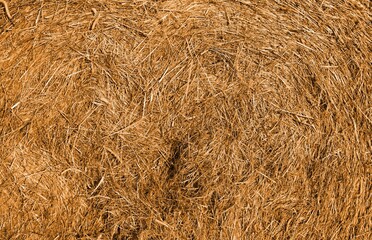 yellow dry hay and straw background for a rustic agricultural countryside backdrop