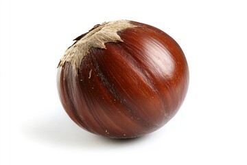 Obraz premium Chestnut, isolated on white background, full depth of field, ai