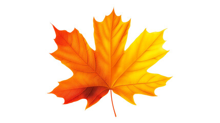 Fototapeta premium A leaf with a green stem and red veins isolated on a transparent background