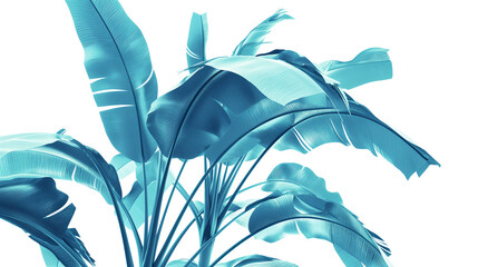 A blue leafy plant with a white background