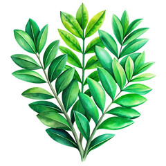 Fototapeta premium Watercolor clipart tropical ZZ plant leaves, sleek and modern, vibrant green, transparent background