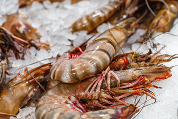 shrimp or prawns on ice close-up, selective focus