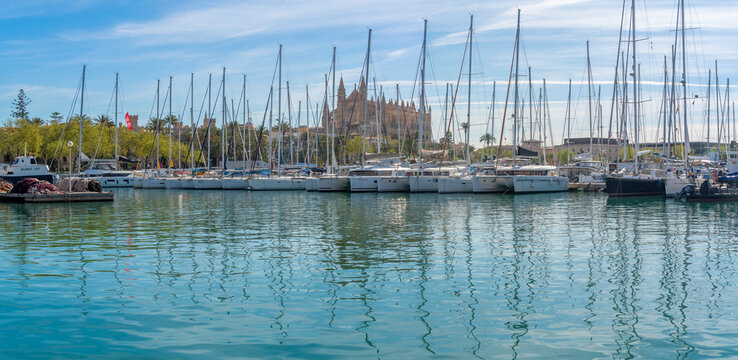 View of Cathedral-BasA�lica de Santa Maria de Mallorca from Passeig MarA�time, Palma de Mallorca, Majorca, Balearic Islands, Spain, Mediterranean, Europe