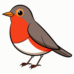 Robin on a branch, robin vector illustration, robin vector art, robin silhouette, bird vector icon, eps