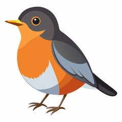Robin on a branch, robin vector illustration, robin vector art, robin silhouette, bird vector icon, eps