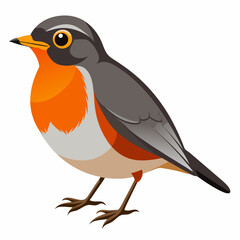 Robin on a branch, robin vector illustration, robin vector art, robin silhouette, bird vector icon, eps