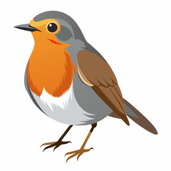 Obraz premium Robin on a branch, robin vector illustration, robin vector art, robin silhouette, bird vector icon, eps