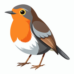 Robin on a branch, robin vector illustration, robin vector art, robin silhouette, bird vector icon, eps