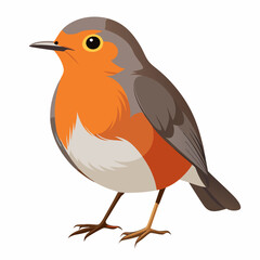 Robin on a branch, robin vector illustration, robin vector art, robin silhouette, bird vector icon, eps