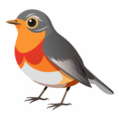 Robin on a branch, robin vector illustration, robin vector art, robin silhouette, bird vector icon, eps