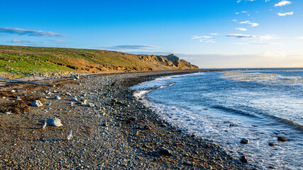 Sunrise on Magdalena Island, Magallanes Region, Punta Arenas, Chile, South America